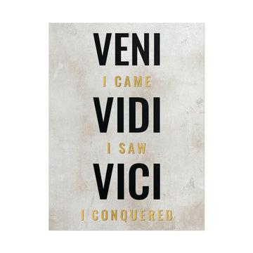 Veni Vidi Vici Poster