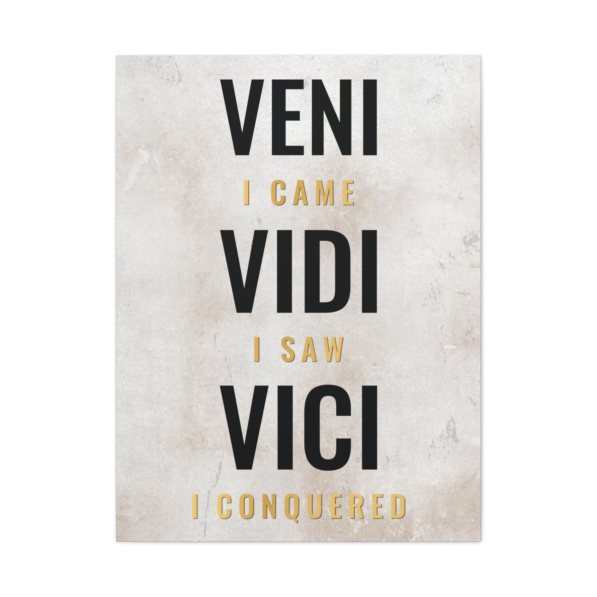 Veni Vidi Vici Premium Canvas Wall Art | The Design Station
