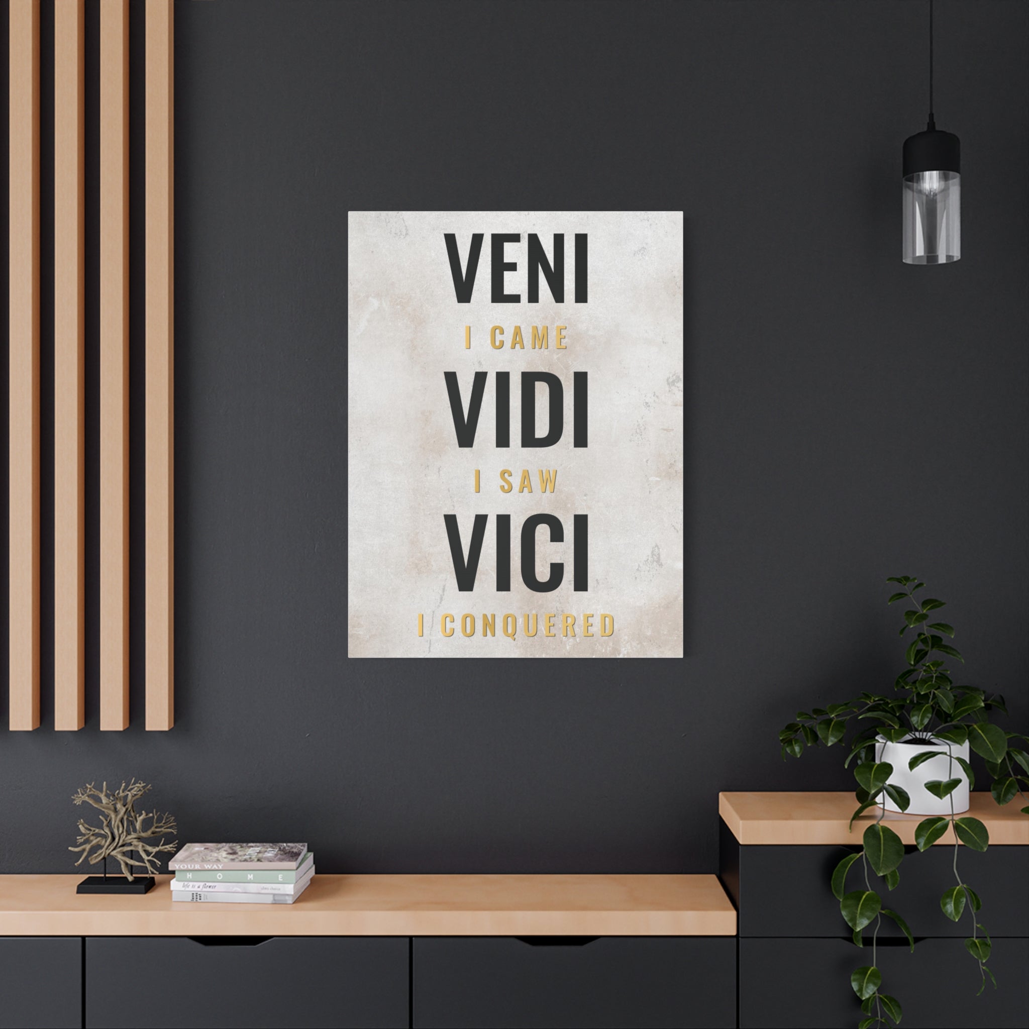 Veni Vidi Vici Wall Art additional image 1