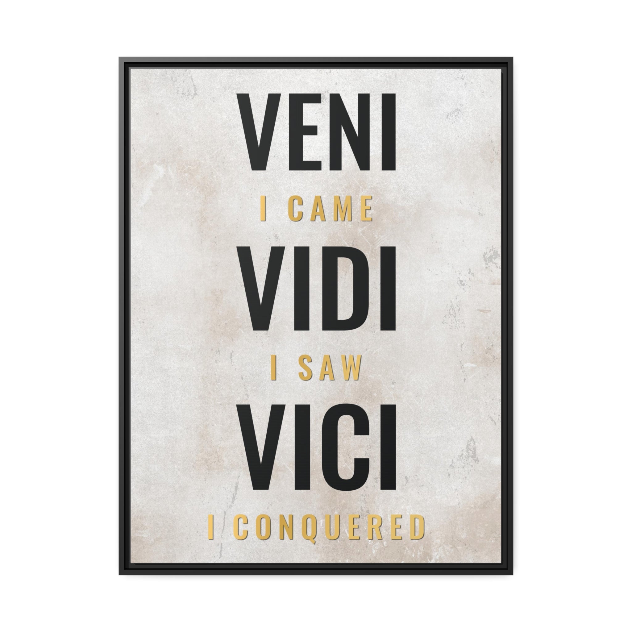 Veni Vidi Vici Wall Art additional image 4