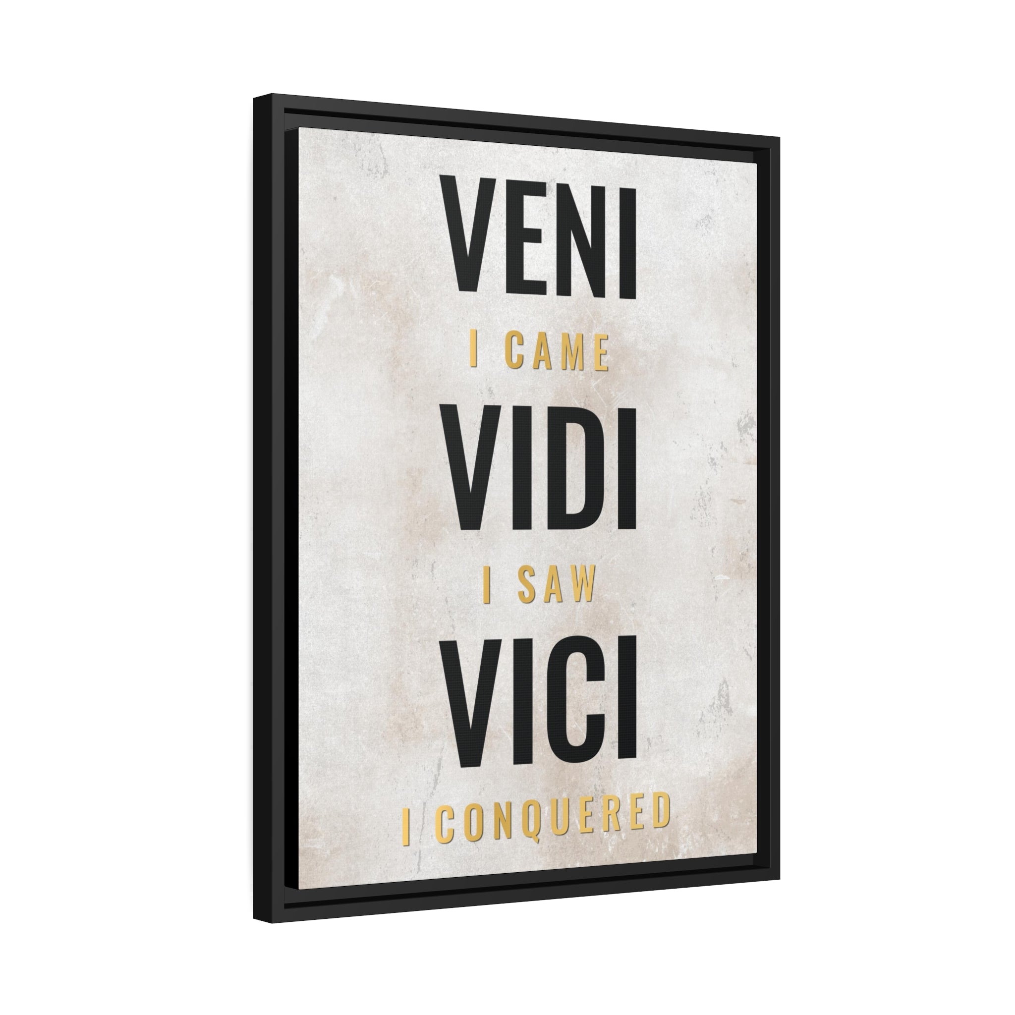 Veni Vidi Vici Wall Art additional image 7